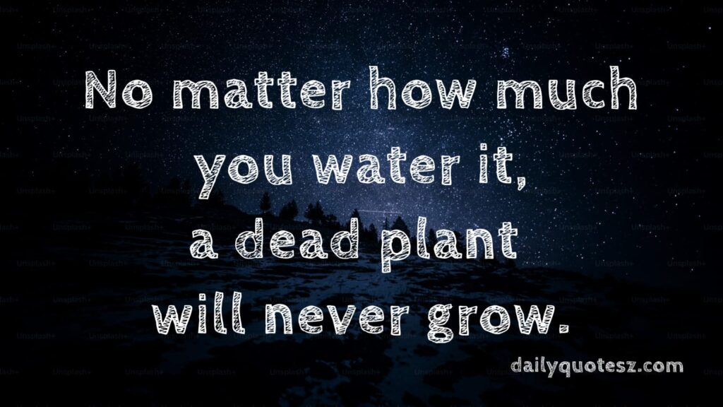 5 deep quotes in English about Life's Reality